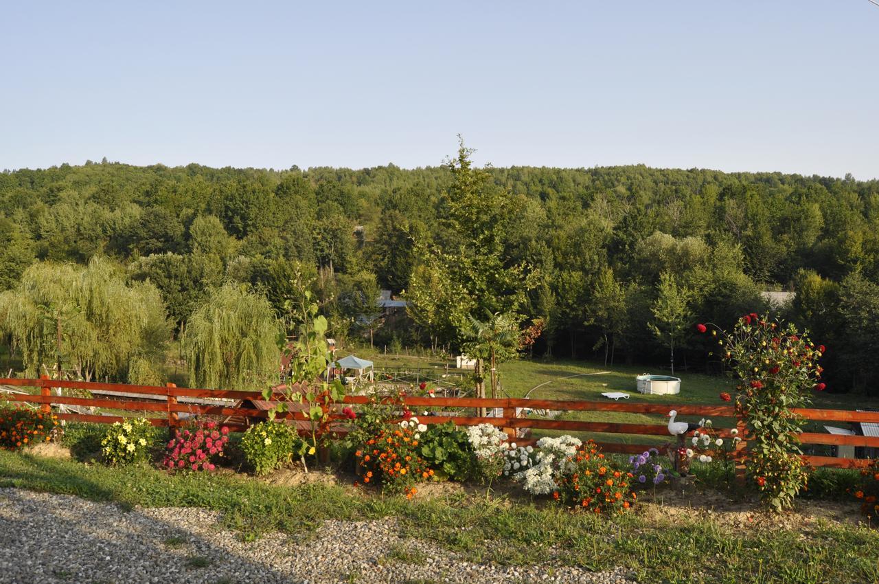 Floare De Maramures 2 Sighetu Marmaţiei Exterior foto
